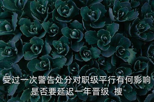 銀行警告處分有什么影響，受過一次警告處分對職級平行有何影響是否要延遲一年晉級  搜