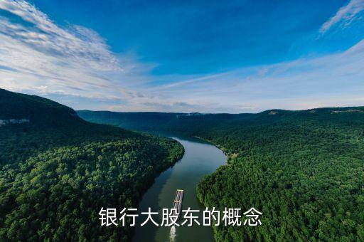 銀行最大的股東是什么意思，中國建設(shè)銀行最大股東是誰