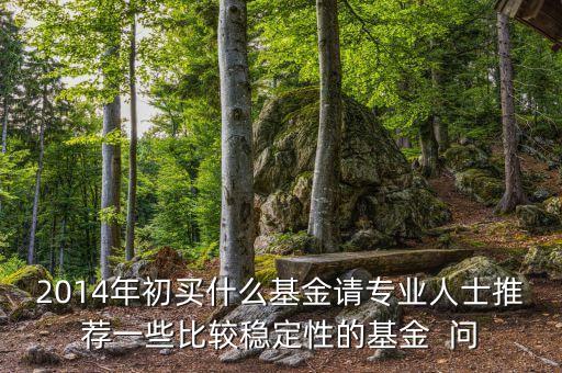 2014什么基金比較好，急求2014年什么基金好點謝謝