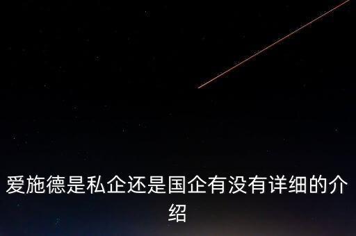愛施德是干什么的，愛施德是私企還是國企有沒有詳細的介紹