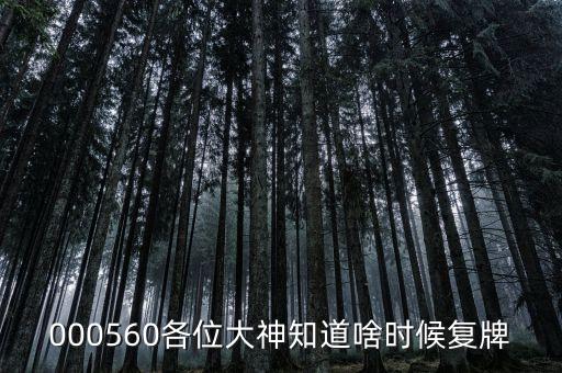 棟梁新材什么時(shí)候復(fù)牌，000560各位大神知道啥時(shí)候復(fù)牌