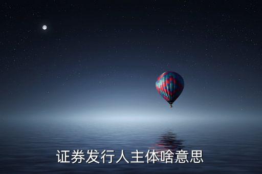什么是股票發(fā)行人，發(fā)行人的概念是什么