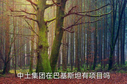 中土公司在吉布提什么工程，中建港務(wù)建設(shè)有限公司是不是接了吉布提的工程