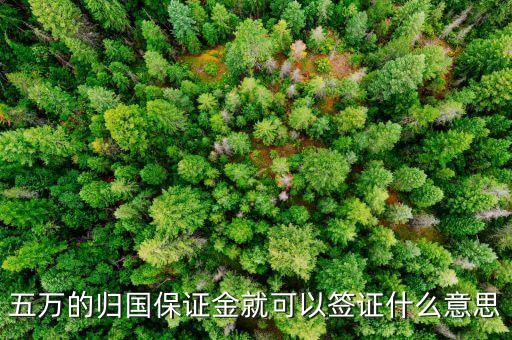 什么是歸國(guó)保證金，五萬(wàn)的歸國(guó)保證金就可以簽證什么意思