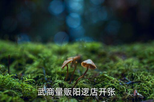 老河口武商什么開業(yè)，武商量販?zhǔn)叩晔鞘裁磿r(shí)候開業(yè)的