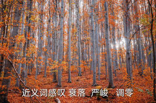 調(diào)零的近義詞是什么，近義詞感嘆 衰落  嚴峻   調(diào)零