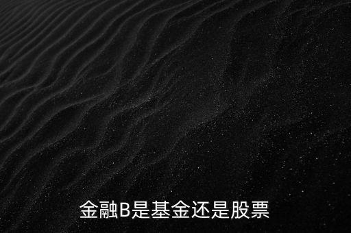 銀行b端是什么股票，金融B是基金還是股票