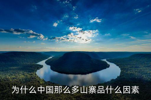 為什么中國黑作坊那么多，為什么中國那么多山寨品什么因素