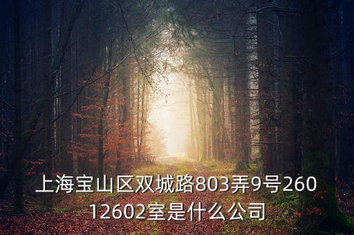 上海柏智方德是什么公司，上海寶山區(qū)雙城路803弄9號(hào)26012602室是什么公司