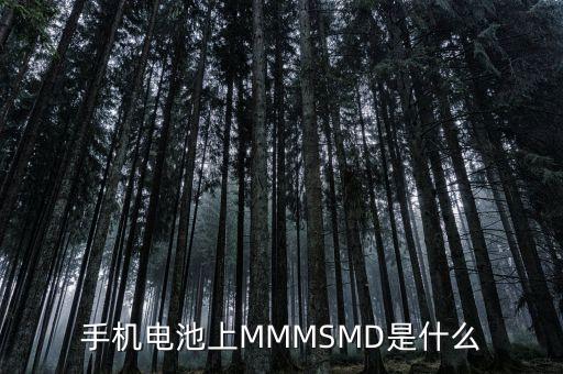 什么是電力儲(chǔ)能，手機(jī)電池上MMMSMD是什么