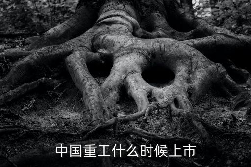 中國重工什么時候增發(fā)，中國重工上市時間