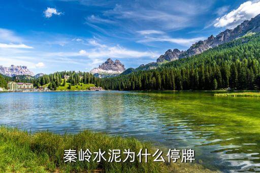 st秦嶺股票什么時(shí)候復(fù)牌，600217秦嶺水泥多會(huì)能復(fù)牌
