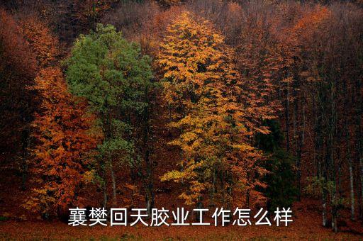 回天膠業(yè)處于行業(yè)什么水平，襄樊回天膠業(yè)工作怎么樣