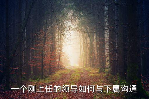 新任董事長應(yīng)該做什么，董事會(huì)換屆選舉怎么做