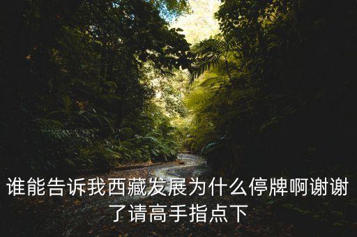 銀河投資什么時(shí)候復(fù)牌，銀河科技000806這個(gè)股票為什么連續(xù)停牌