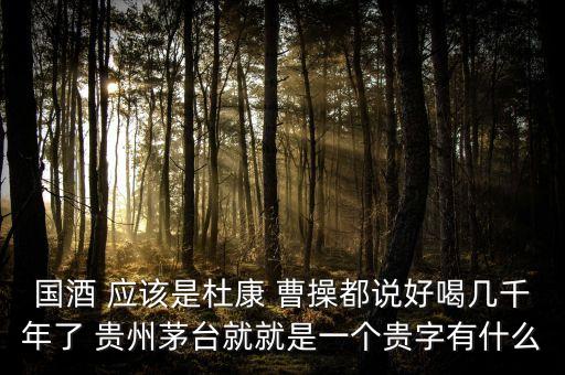為什么不拿杜康當國酒，為什么杜康酒沒有成為中國十大名酒之一