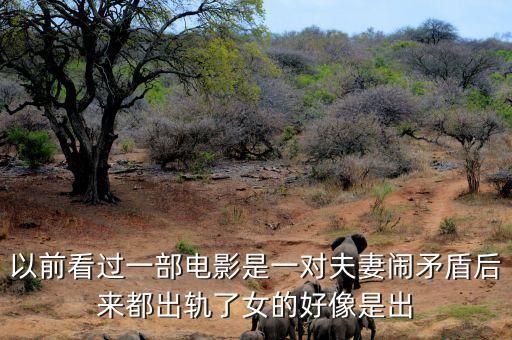 候永財執(zhí)導(dǎo)過什么電影，以前看過一部電影是一對夫妻鬧矛盾后來都出軌了女的好像是出