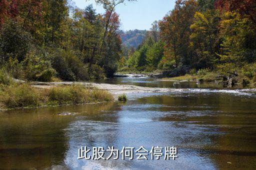 中瑞思創(chuàng)為什么停牌，停牌的原因是什么
