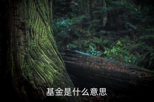 一張圖看懂什么是基金，什么是基金