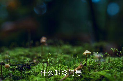 什么叫冷門股，楊子一老公叫什么名子