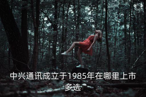 中興第一代手機(jī)什么時(shí)間上市，中興 Grand X IN 什么時(shí)候上市