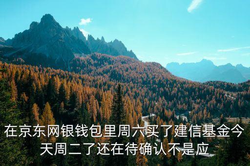 002378建信什么時(shí)候確認(rèn)份額，在京東網(wǎng)銀錢(qián)包里周六買(mǎi)了建信基金今天周二了還在待確認(rèn)不是應(yīng)