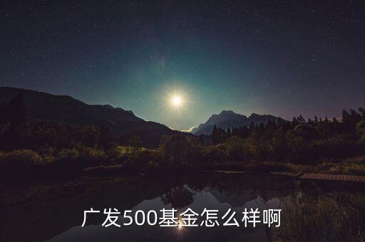 廣發(fā)500凈值為什么很低，廣發(fā)500基金怎么樣啊