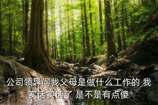 公司問父母是做什么的，公司領(lǐng)導(dǎo)問我父母是做什么工作的 我實(shí)話實(shí)話了 是不是有點(diǎn)傻