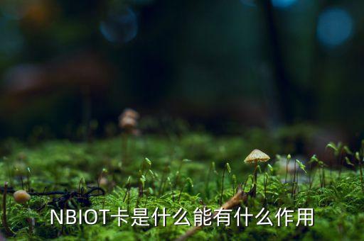 什么是nbiot，海思芯片 nb iot 什么型號