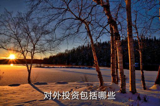 對(duì)外投資是什么，對(duì)外投資包括哪些