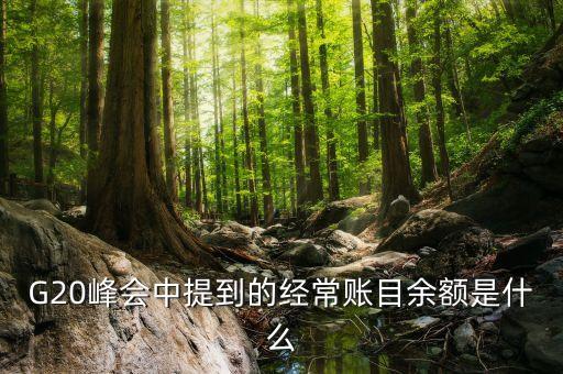 什么是經(jīng)常項(xiàng)目余額，經(jīng)常項(xiàng)目差額的什么是經(jīng)常項(xiàng)目差額