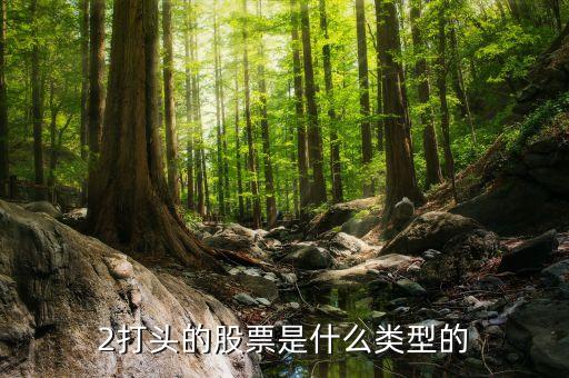 2字開頭的是什么股票招商局，股票2開頭的是什么股票