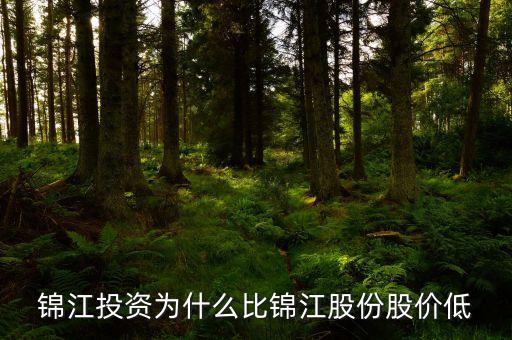 錦江投資和錦江股份什么關(guān)系，錦江投資為什么比錦江股份股價低