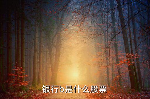 新能車b是什么股，新能車b是b股嗎會比a股風(fēng)險(xiǎn)大嗎