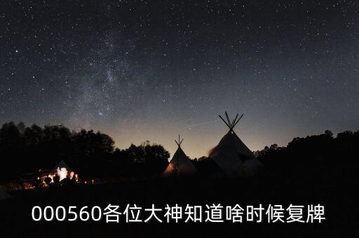 賽象科技什么時候復(fù)牌，000560各位大神知道啥時候復(fù)牌