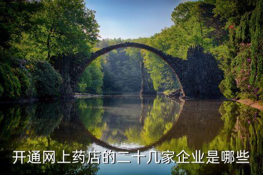 掌上藥店什么公司，開(kāi)通網(wǎng)上藥店的二十幾家企業(yè)是哪些
