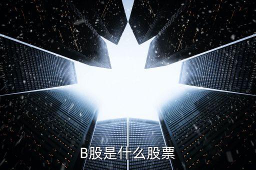 南江b股改成什么股，b 股什么股票