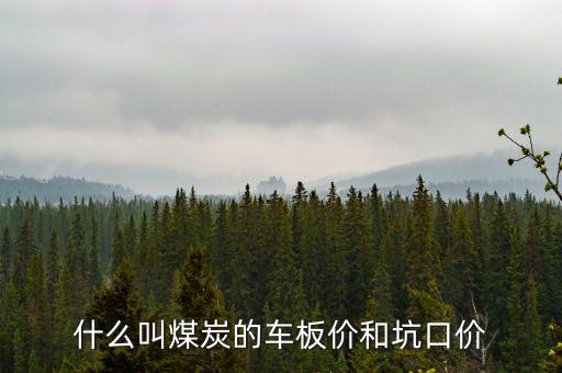 什么叫煤炭坑口價(jià)，煤炭坑口價(jià)格是什么意思呀有知道的好心人請給予答復(fù)