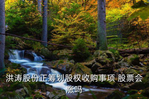 洪濤股份收購什么公司，002325股權(quán)收購不成功股票會漲嗎