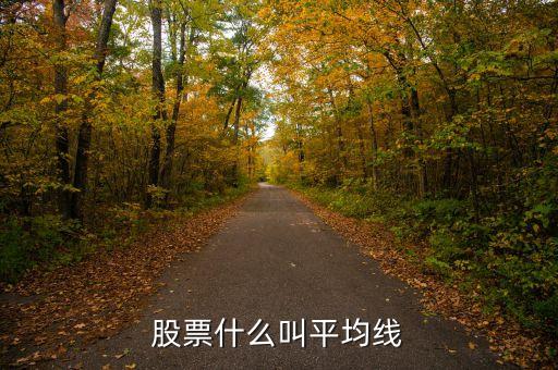 股票平均線是什么，股票什么叫平均線
