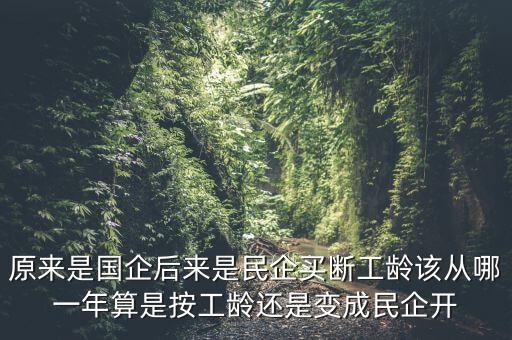 廣西貴糖什么時(shí)候變私企，廣西在什么時(shí)候開始變得落后起來(lái)的原因是