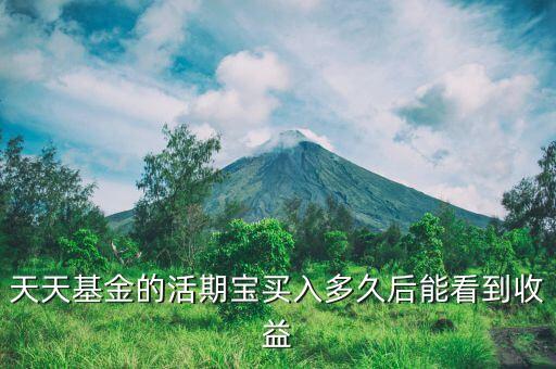 活期寶買股票基金什么時(shí)候顯示，天天基金的活期寶買入多久后能看到收益