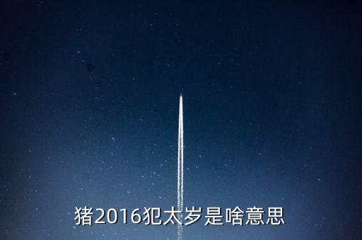 2016年犯什么星辰表，1974年的人在2016年犯太陽星嗎