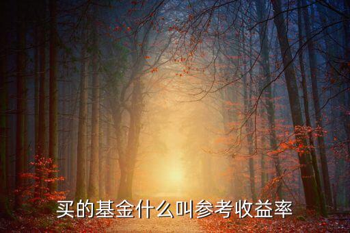 定增基金參考收益是什么意思，基金里面的參考收益率是什么