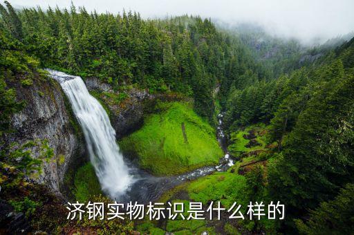 濟(jì)鋼實(shí)物標(biāo)識是什么樣的
