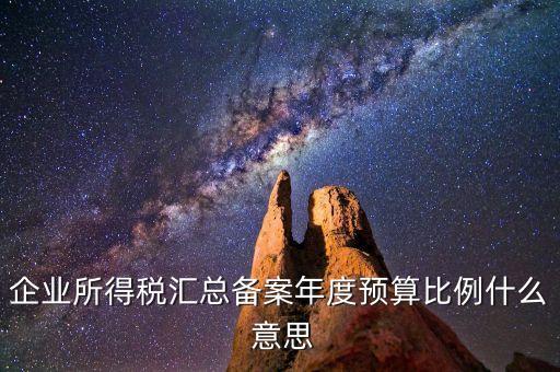 什么是財政調(diào)庫，總機構(gòu)在國稅繳納所得稅并且企業(yè)所得稅匯總分支機構(gòu)還用在地稅繳納