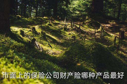 國(guó)外財(cái)險(xiǎn)公司什么險(xiǎn)種最火，市面上的保險(xiǎn)公司財(cái)產(chǎn)險(xiǎn)哪種產(chǎn)品最好