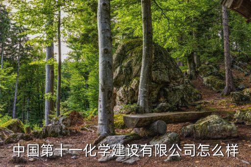 十一化建單位性質(zhì)是什么，請問十一化建怎么樣