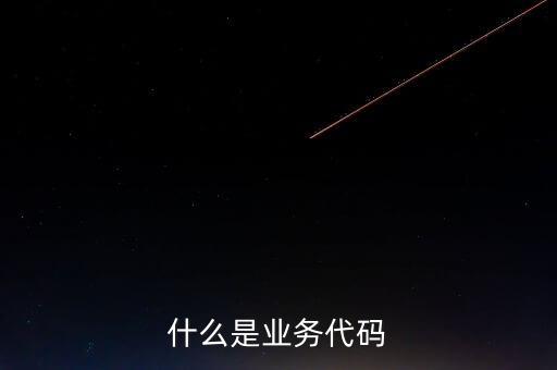 工商業(yè)務(wù)代碼是什么意思，businesscode是啥意思