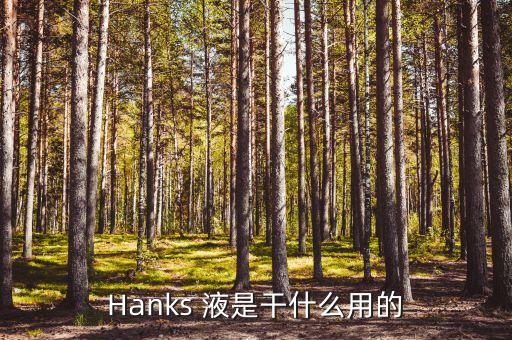硫酸魚精蛋白注射液是什么，CPU的主要任務(wù)是什么